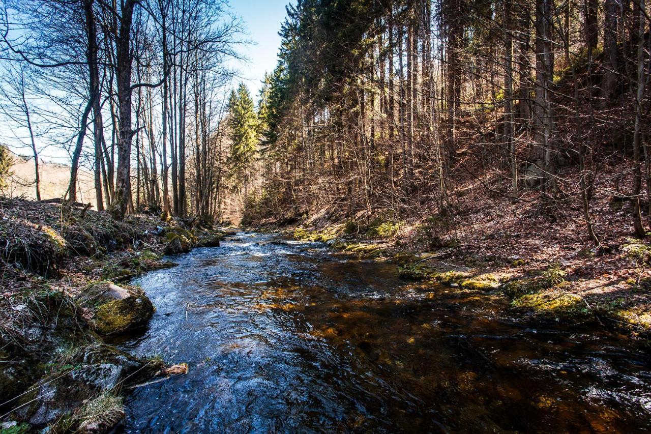 Chalupa Šárka Dolni Dvur Esterno foto